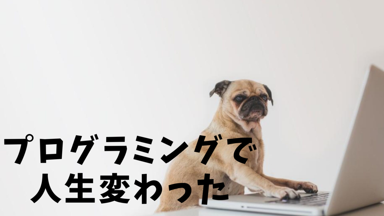 プログラミングで人生変わった